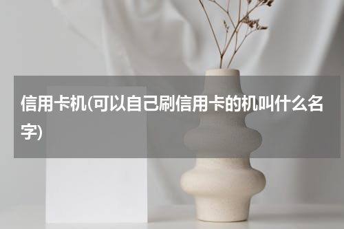 信用卡机(可以自己刷信用卡的机叫什么名字)
