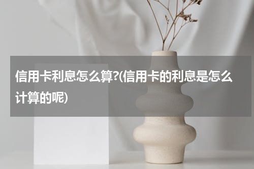 信用卡利息怎么算?(信用卡的利息是怎么计算的呢)