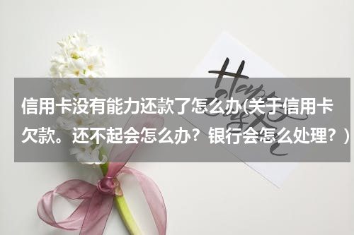 信用卡没有能力还款了怎么办(关于信用卡欠款。还不起会怎么办？银行会怎么处理？)