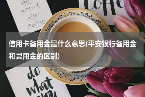 信用卡备用金是什么意思(平安银行备用金和灵用金的区别)