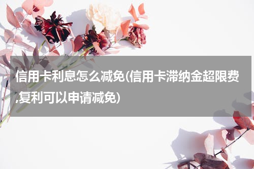 信用卡利息怎么减免(信用卡滞纳金超限费,复利可以申请减免)