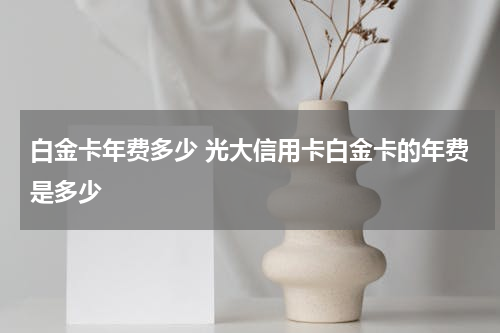 白金卡年费多少 光大信用卡白金卡的年费是多少