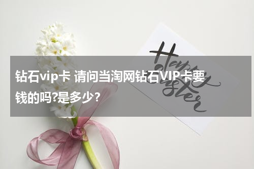 钻石vip卡 请问当淘网钻石VIP卡要钱的吗?是多少？