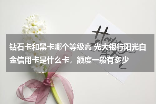 钻石卡和黑卡哪个等级高 光大银行阳光白金信用卡是什么卡，额度一般有多少