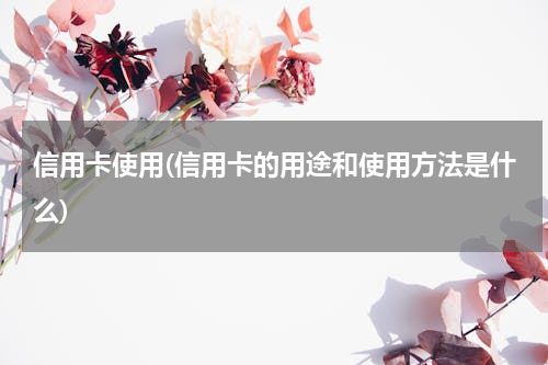 信用卡使用(信用卡的用途和使用方法是什么)