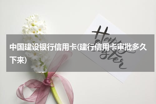 中国建设银行信用卡(建行信用卡审批多久下来)