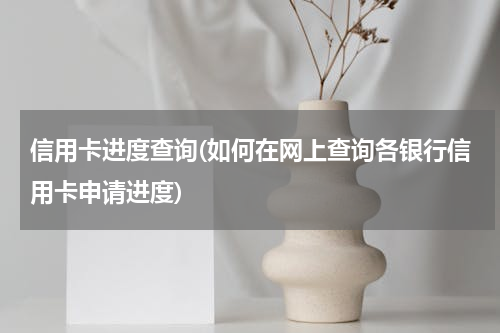 信用卡进度查询(如何在网上查询各银行信用卡申请进度)
