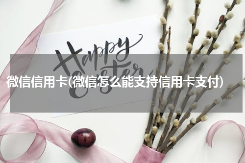 微信信用卡(微信怎么能支持信用卡支付)