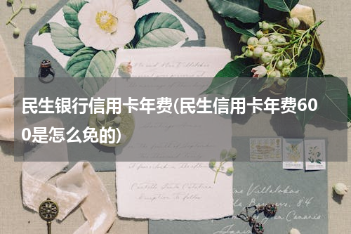 民生银行信用卡年费(民生信用卡年费600是怎么免的)