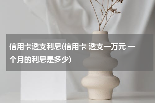 信用卡透支利息(信用卡 透支一万元 一个月的利息是多少)