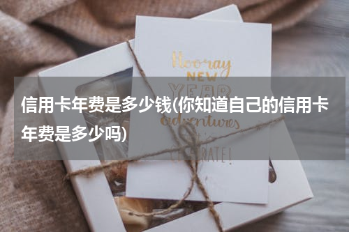 信用卡年费是多少钱(你知道自己的信用卡年费是多少吗)