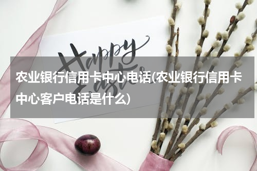 农业银行信用卡中心电话(农业银行信用卡中心客户电话是什么)