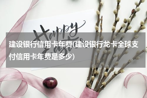 建设银行信用卡年费(建设银行龙卡全球支付信用卡年费是多少)