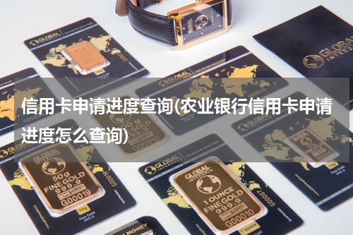 信用卡申请进度查询(农业银行信用卡申请进度怎么查询)