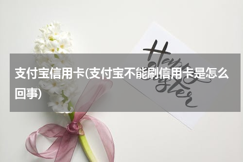 支付宝信用卡(支付宝不能刷信用卡是怎么回事)