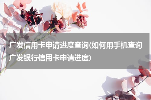广发信用卡申请进度查询(如何用手机查询广发银行信用卡申请进度)