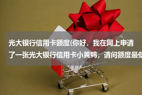 光大银行信用卡额度(你好，我在网上申请了一张光大银行信用卡小黄鸭，请问额度最低多少？)