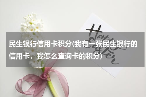 民生银行信用卡积分(我有一张民生银行的信用卡，我怎么查询卡的积分)