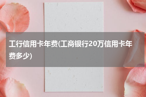 工行信用卡年费(工商银行20万信用卡年费多少)