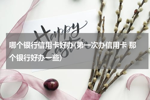 哪个银行信用卡好办(第一次办信用卡 那个银行好办一些)