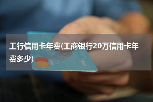 工行信用卡年费(工商银行20万信用卡年费多少)
