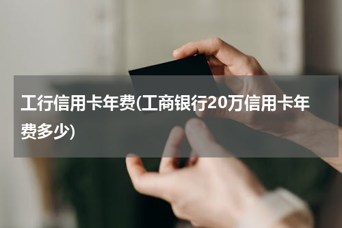工行信用卡年费(工商银行20万信用卡年费多少)