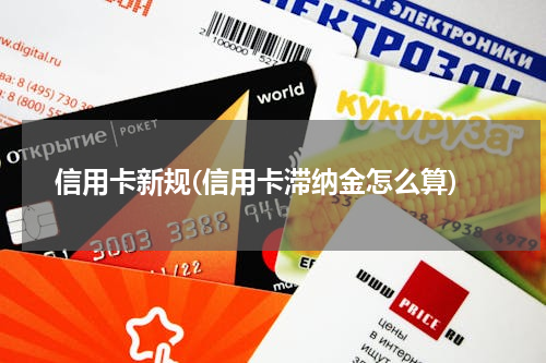 信用卡新规(信用卡滞纳金怎么算)