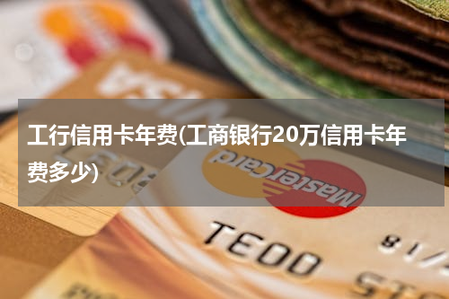 工行信用卡年费(工商银行20万信用卡年费多少)