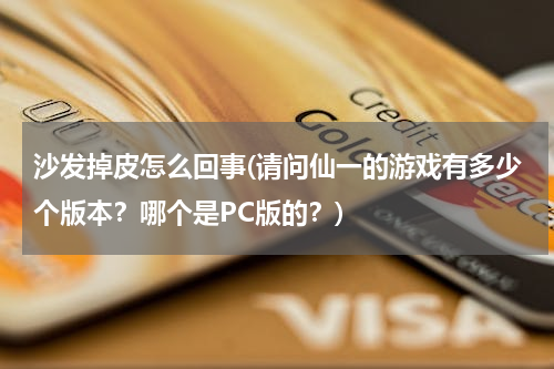 沙发掉皮怎么回事(请问仙一的游戏有多少个版本？哪个是PC版的？)