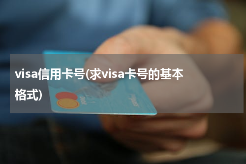 visa信用卡号(求visa卡号的基本格式)