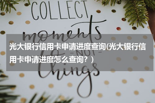 光大银行信用卡申请进度查询(光大银行信用卡申请进度怎么查询？)