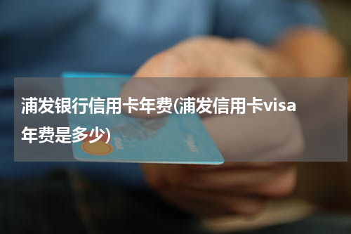浦发银行信用卡年费(浦发信用卡visa年费是多少)
