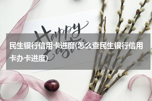 民生银行信用卡进度(怎么查民生银行信用卡办卡进度)