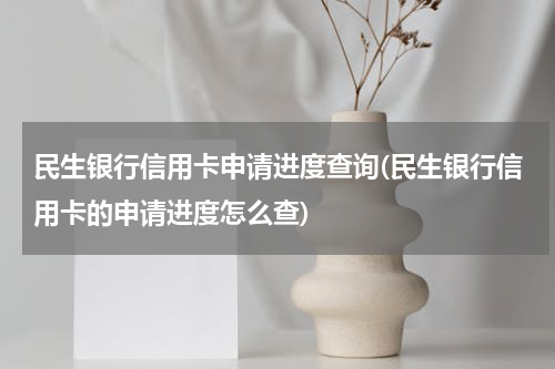 民生银行信用卡申请进度查询(民生银行信用卡的申请进度怎么查)