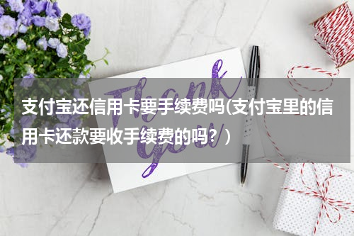 支付宝还信用卡要手续费吗(支付宝里的信用卡还款要收手续费的吗？)
