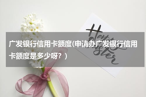 广发银行信用卡额度(申请办广发银行信用卡额度是多少呀？)
