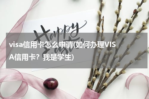 visa信用卡怎么申请(如何办理VISA信用卡？我是学生)
