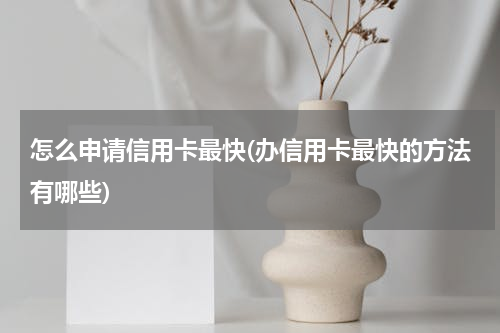 怎么申请信用卡最快(办信用卡最快的方法有哪些)