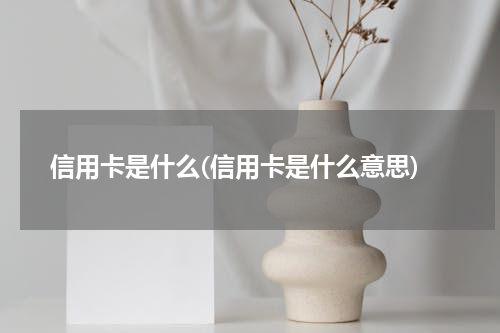 信用卡是什么(信用卡是什么意思)