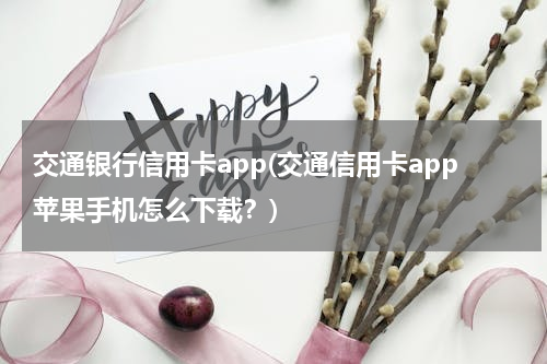 交通银行信用卡app(交通信用卡app苹果手机怎么下载？)