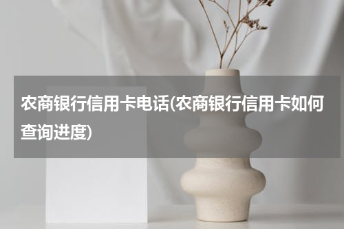 农商银行信用卡电话(农商银行信用卡如何查询进度)