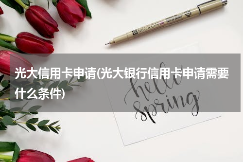 光大信用卡申请(光大银行信用卡申请需要什么条件)