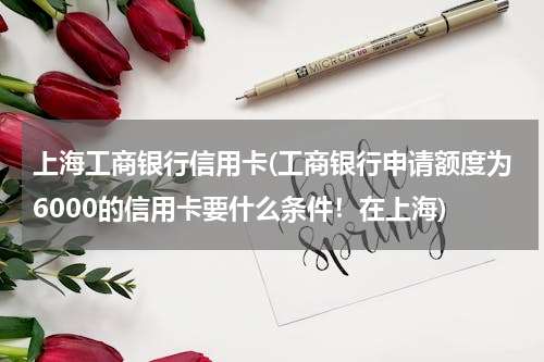 上海工商银行信用卡(工商银行申请额度为6000的信用卡要什么条件！在上海)