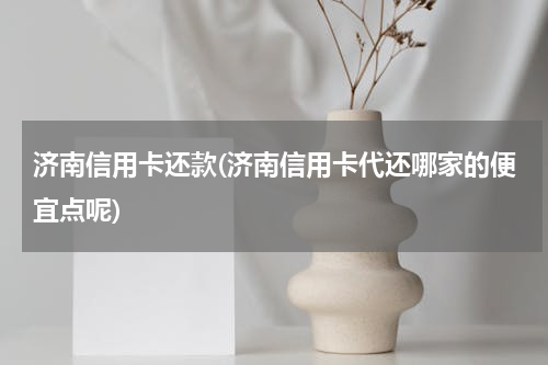 济南信用卡还款(济南信用卡代还哪家的便宜点呢)