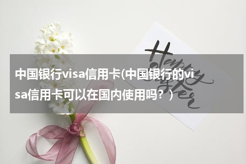 中国银行visa信用卡(中国银行的visa信用卡可以在国内使用吗？)