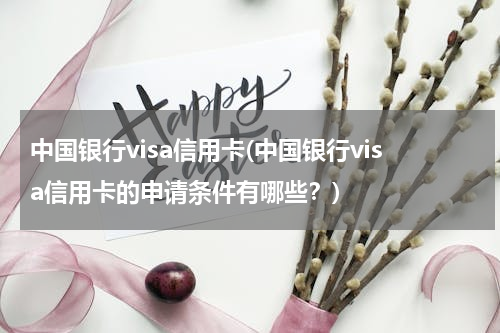 中国银行visa信用卡(中国银行visa信用卡的申请条件有哪些？)