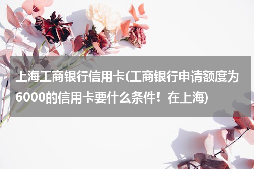 上海工商银行信用卡(工商银行申请额度为6000的信用卡要什么条件！在上海)
