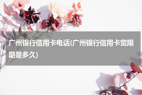 广州银行信用卡电话(广州银行信用卡宽限期是多久)