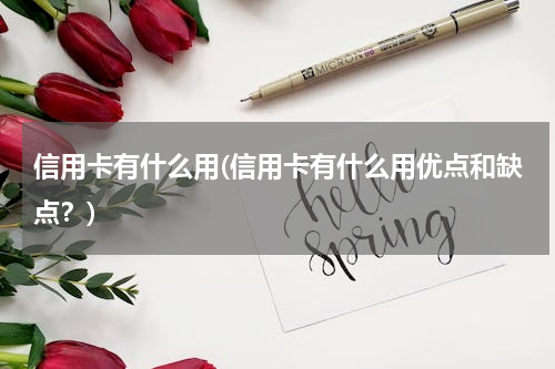 信用卡有什么用(信用卡有什么用优点和缺点？)